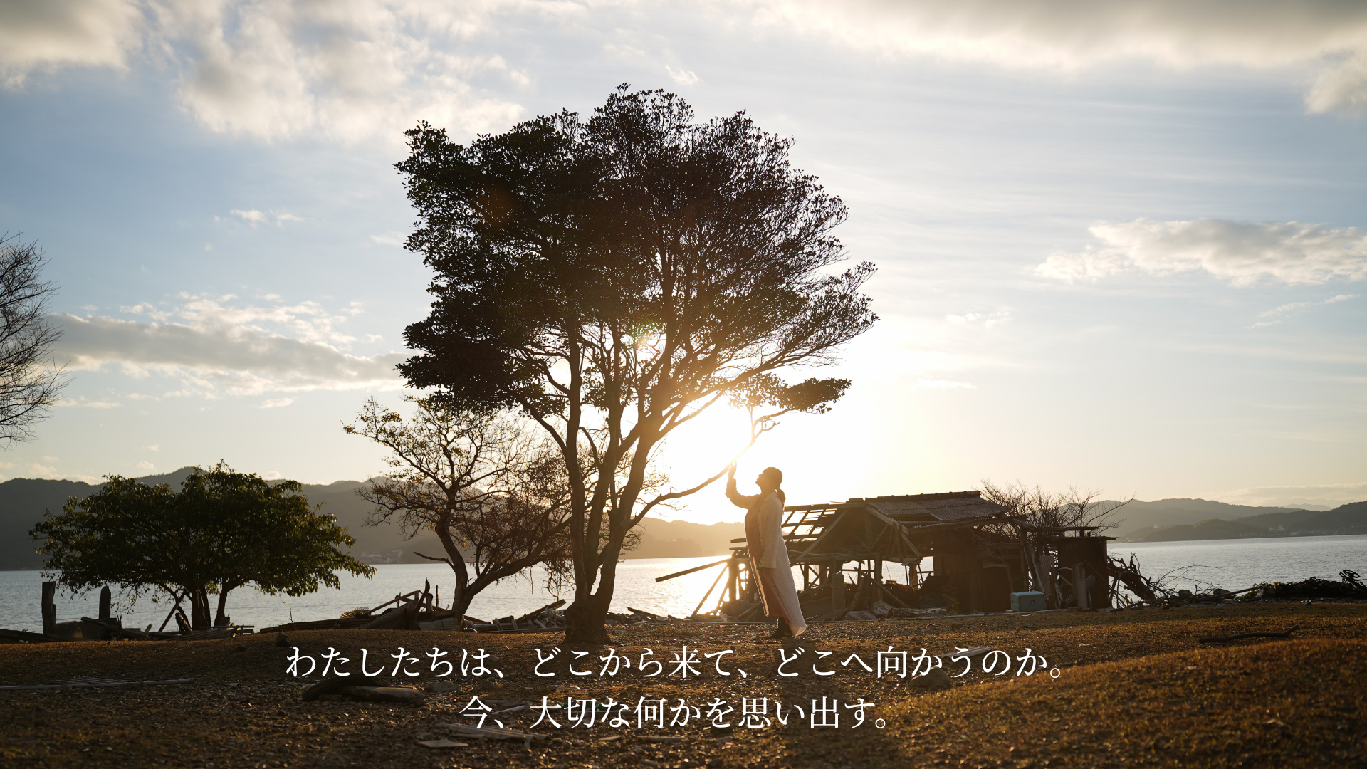 映画TSUKIMI HP 素材 (22)